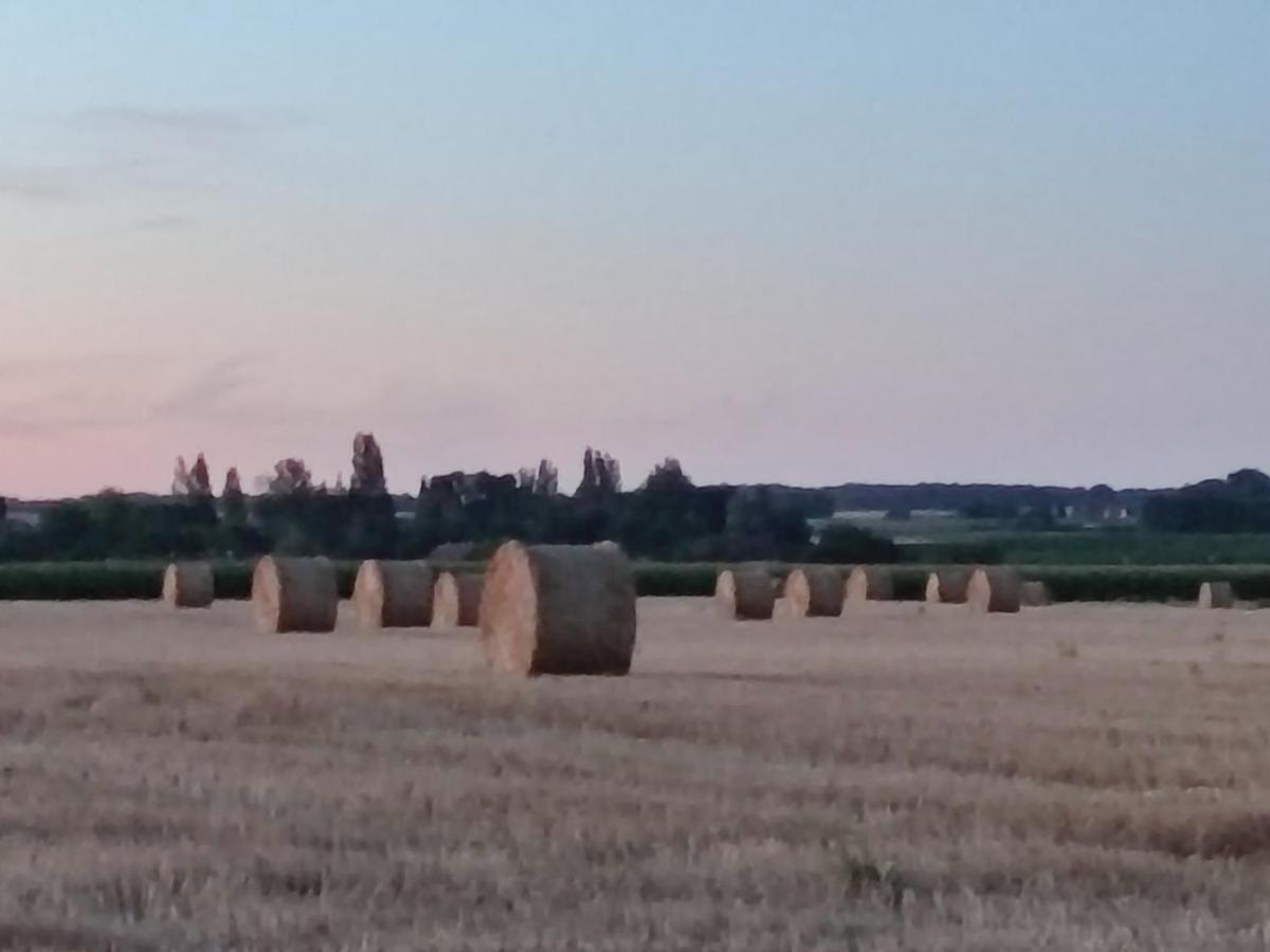 Gite Chez Jeannot Azay-le-Ferron Buitenkant foto